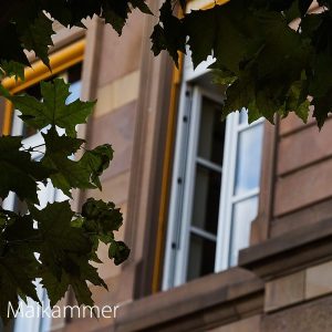 maikammer 26-31