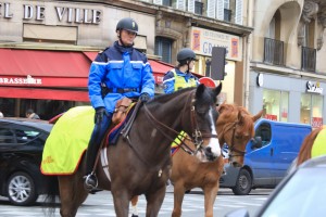 paris_2015_bolz_web_209