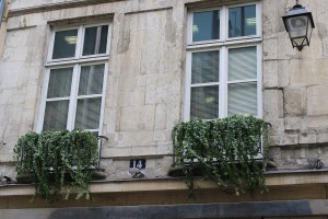 paris_2015_bolz_web_219